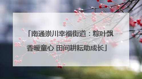 南通崇川幸福街道：粽叶飘香暖童心 田间耕耘助成长