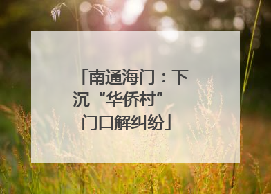 南通海门：下沉“华侨村” 门口解纠纷