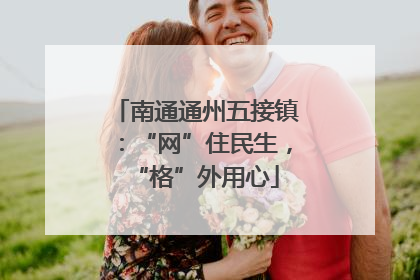 南通通州五接镇：“网”住民生，“格”外用心
