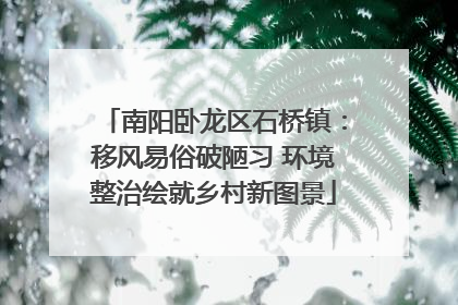 南阳卧龙区石桥镇：移风易俗破陋习 环境整治绘就乡村新图景