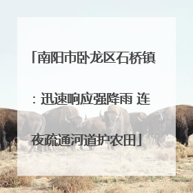 南阳市卧龙区石桥镇：迅速响应强降雨 连夜疏通河道护农田