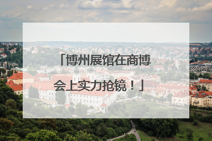 博州展馆在商博会上实力抢镜！