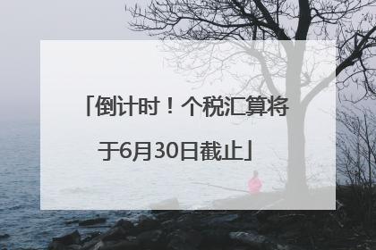 倒计时！个税汇算将于6月30日截止