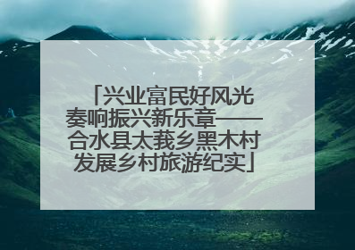 兴业富民好风光 奏响振兴新乐章——合水县太莪乡黑木村发展乡村旅游纪实