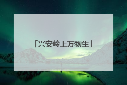 兴安岭上万物生