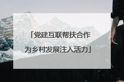 党建互联帮扶合作 为乡村发展注入活力