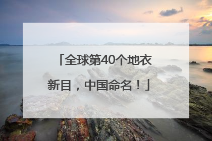 全球第40个地衣新目，中国命名！