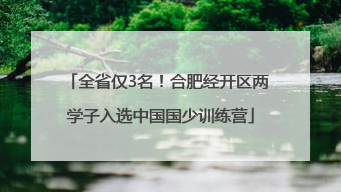 全省仅3名！合肥经开区两学子入选中国国少训练营