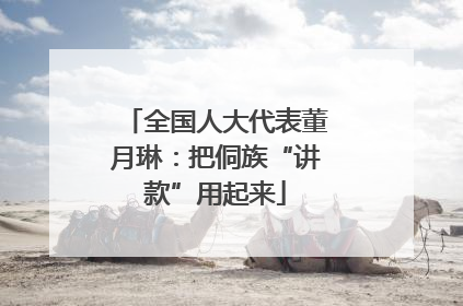 全国人大代表董月琳：把侗族“讲款”用起来