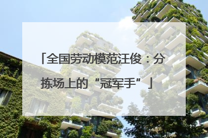 全国劳动模范汪俊：分拣场上的“冠军手”