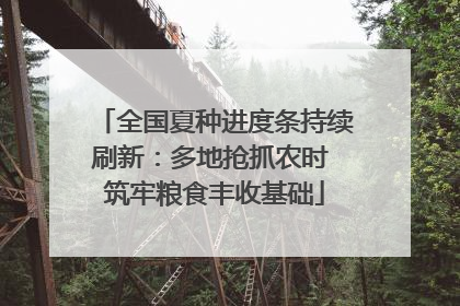 全国夏种进度条持续刷新：多地抢抓农时 筑牢粮食丰收基础