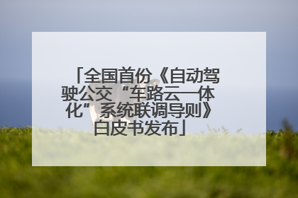 全国首份《自动驾驶公交“车路云一体化”系统联调导则》白皮书发布