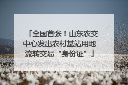 全国首张！山东农交中心发出农村基站用地流转交易“身份证”