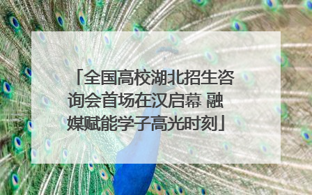 全国高校湖北招生咨询会首场在汉启幕 融媒赋能学子高光时刻