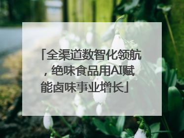 全渠道数智化领航，绝味食品用AI赋能卤味事业增长