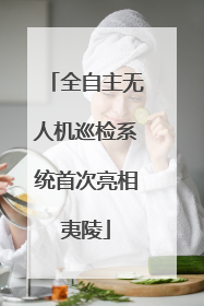 全自主无人机巡检系统首次亮相夷陵