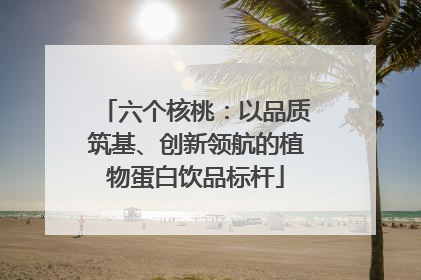 六个核桃：以品质筑基、创新领航的植物蛋白饮品标杆