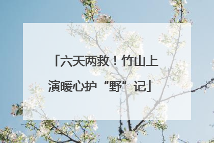 六天两救！竹山上演暖心护“野”记