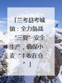 兰考县考城镇：全力备战“三夏”安全生产，确保小麦“丰收在仓”