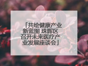 共绘健康产业新蓝图 珠晖区召开未来医疗产业发展座谈会