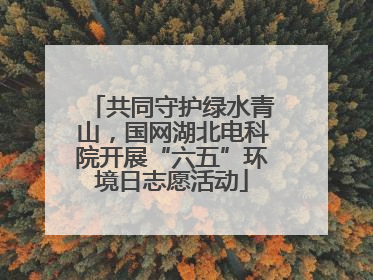 共同守护绿水青山，国网湖北电科院开展“六五”环境日志愿活动