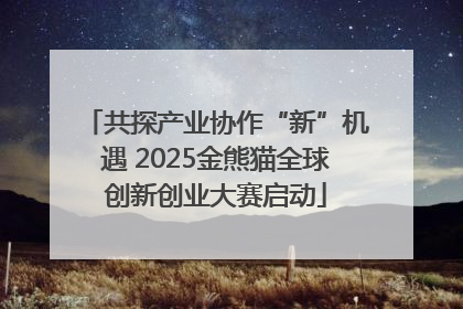 共探产业协作“新”机遇 2025金熊猫全球创新创业大赛启动
