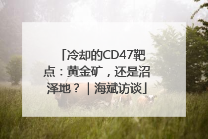 冷却的CD47靶点：黄金矿，还是沼泽地？｜海斌访谈