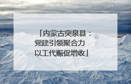 内蒙古突泉县：党建引领聚合力 以工代赈促增收