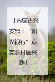 内蒙古兴安盟：“阳光银行”点亮乡村振兴路