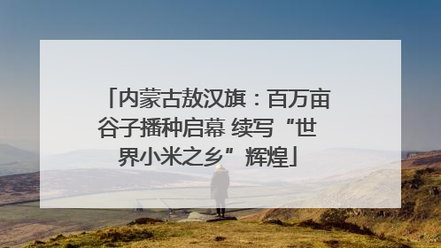 内蒙古敖汉旗：百万亩谷子播种启幕 续写“世界小米之乡”辉煌