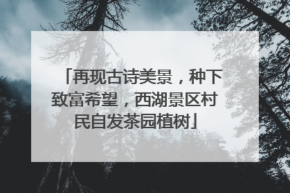 再现古诗美景，种下致富希望，西湖景区村民自发茶园植树
