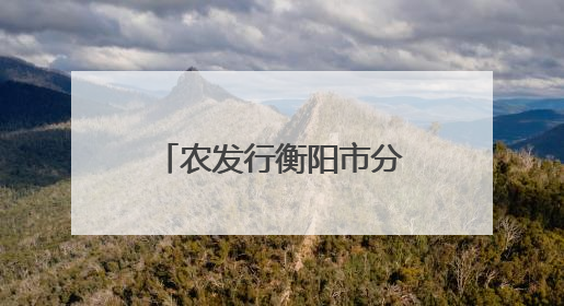 农发行衡阳市分行深入开展“民法典宣传月”活动