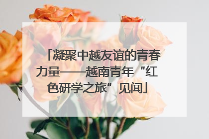 凝聚中越友谊的青春力量——越南青年“红色研学之旅”见闻