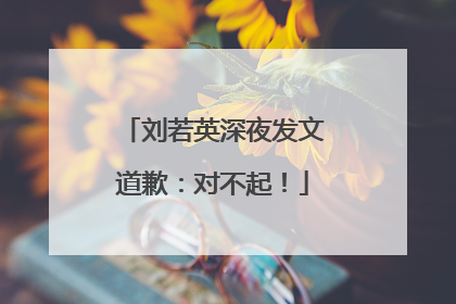 刘若英深夜发文道歉：对不起！