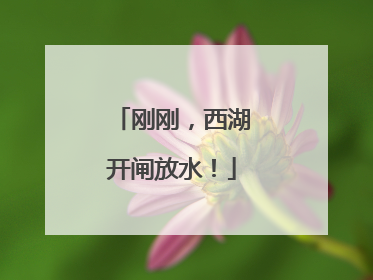 刚刚，西湖开闸放水！