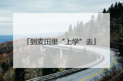到麦田里“上学”去