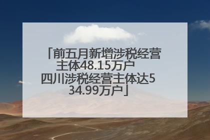 前五月新增涉税经营主体48.15万户 四川涉税经营主体达534.99万户