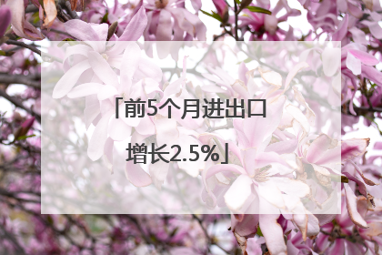 前5个月进出口增长2.5%