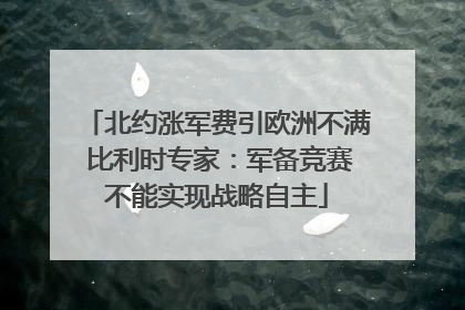 北约涨军费引欧洲不满 比利时专家：军备竞赛不能实现战略自主