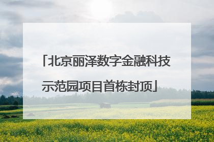 北京丽泽数字金融科技示范园项目首栋封顶