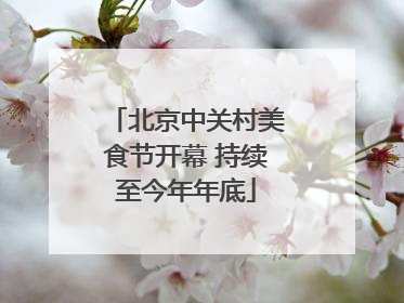 北京中关村美食节开幕 持续至今年年底