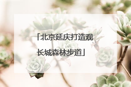 北京延庆打造观长城森林步道