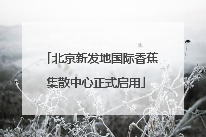 北京新发地国际香蕉集散中心正式启用