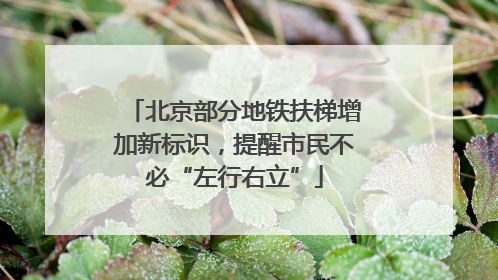 北京部分地铁扶梯增加新标识，提醒市民不必“左行右立”