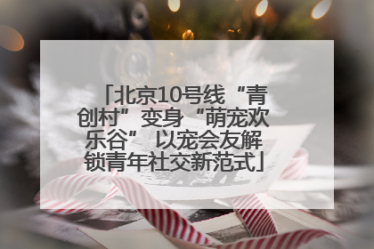 北京10号线“青创村”变身“萌宠欢乐谷” 以宠会友解锁青年社交新范式