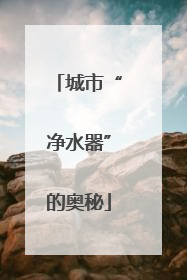 城市“净水器”的奥秘