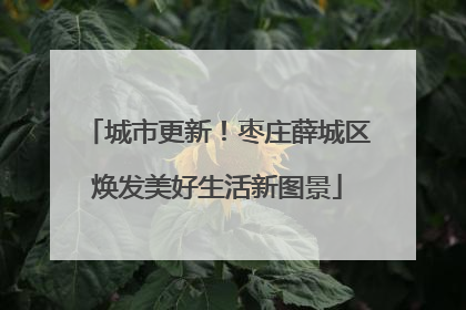 城市更新！枣庄薛城区焕发美好生活新图景