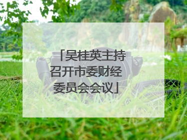 吴桂英主持召开市委财经委员会会议
