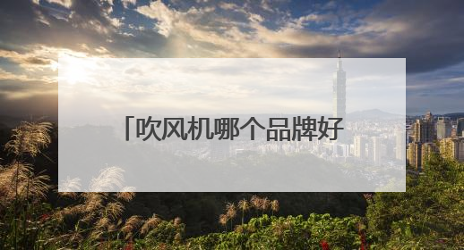 吹风机哪个品牌好用？揭秘数万网友力荐的10大品牌！