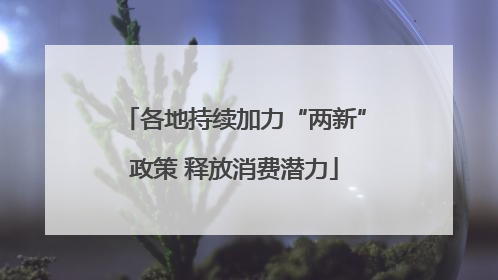 各地持续加力“两新”政策 释放消费潜力